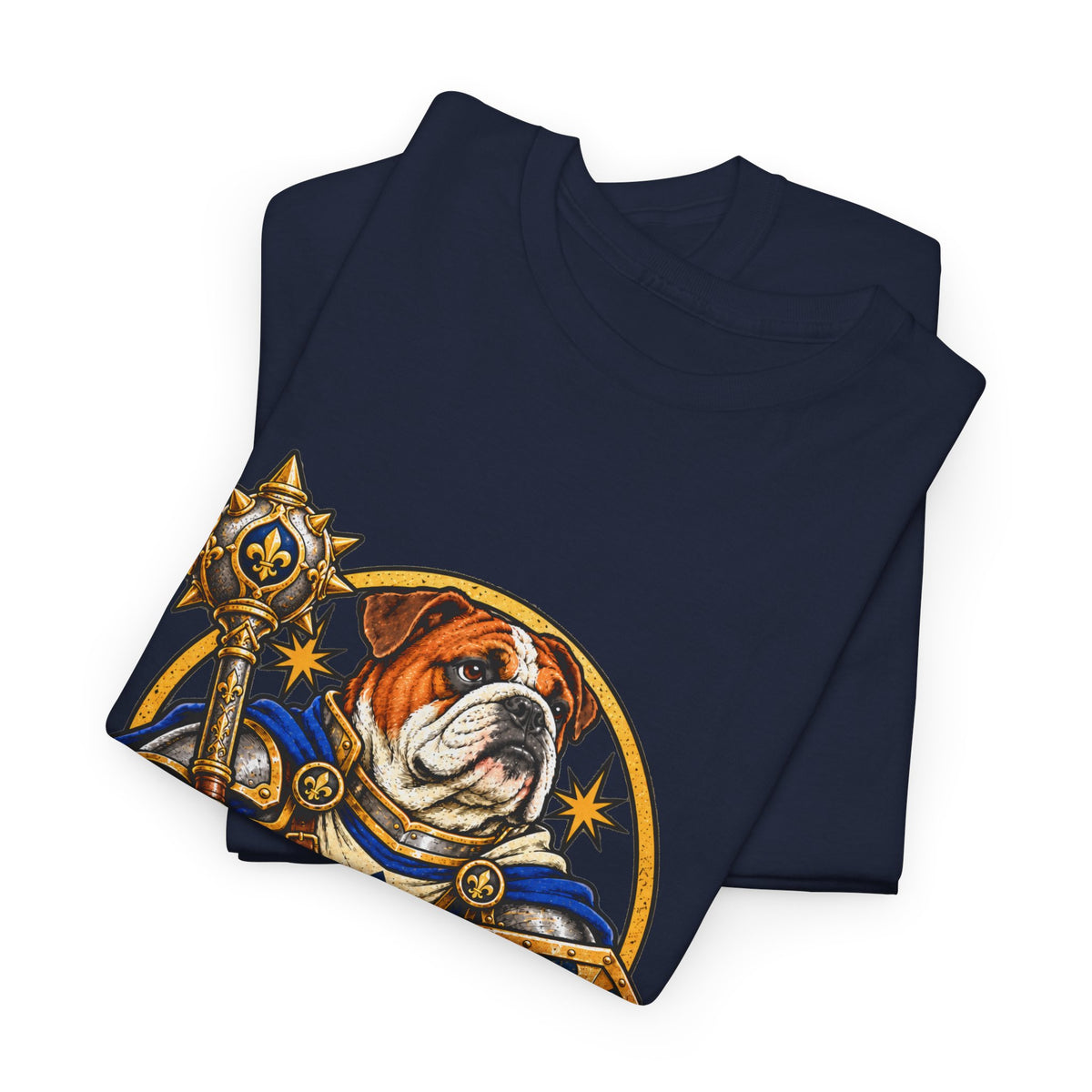 Pawladin Dog T Shirt Funny Paladin Fantasy Tee
